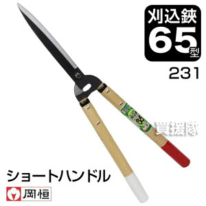 P 65^ V[gnhi|p͂݁jNo.231y ߁z [CB99]