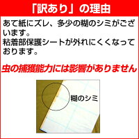 虫とりシート(シール)吊るしてGET虫(10枚入り)【わけあり】