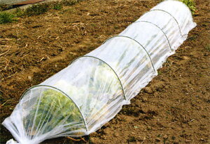 rj[ ĂN[|V[g] 90cm×4.2m×50cmi5Zbgj y؉ | ƒ؉ K[fjO pi rj[V[gzy ߁z [CB99]