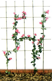 楽天市場 竹 支柱の通販