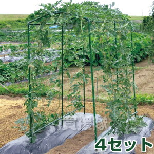 y4Zbgzrj[ ؉IZbg TDS-1.8 80cm×180cm yƒ؉ LE S[ GhE ʃXCJ ^J{` 󒆍͔| I | x pi Lbg ؉ ؍zy 