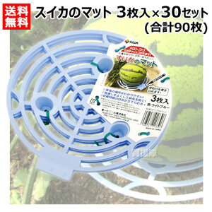 rj[ XCJ̃}bg 3×30Zbg Cgu[ y ʎ aCh~ ʂ ʋC n ڈ n  ~ }bg XCJ  Z  ߂ Z E  Z ڂ