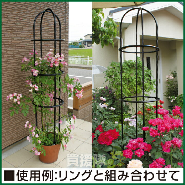楽天市場 第一ビニール ローズスタイル アーチ W28 H150cm Ra1500 薔薇 トレリス バラ アーチ オベリスク ばら 菜園 ローズアーチ フェンス 支柱 園芸 家庭菜園 おしゃれ おすすめ Cb99 買援隊 楽天市場 第一ビニール ローズスタイル アーチ W28 H150cm Ra1500 薔薇 トレリス バラ アーチ オベリスク ばら 菜園 ローズアーチ フェンス 支柱 園芸 家庭菜園 おしゃれ おすすめ Cb99 買援隊