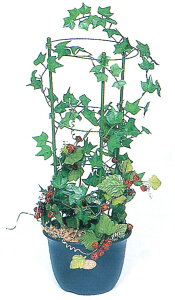 yP5{zrj[ X[p[OXeBbN 7mm×45cm y؉ | x | K[fjO pi ƒ؉zy ߁z [CB99]