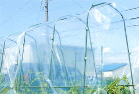 楽天市場 ビニールハウス 家庭菜園の通販 楽天市場 ビニールハウス 家庭菜園の通販