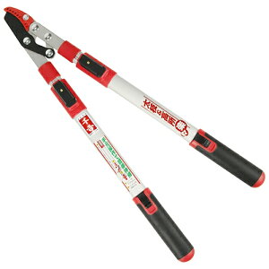 y|Cg10{z g Lk} SGFL-6 yFJtools g Lk} SGFL-6 |  } 4977292618083 zy ߁z[CB99]