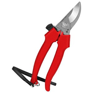 y|Cg10{z g XeX SGP-41 yFJtools g XeX SGP-41 |   4977292627986 zy ߁z[CB99]