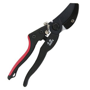 y|Cg10{z g GF WObv} SGFP-6 yFJtools g GF WObv} SGFP-6 |   4977292628211 zy ߁z[CB99]