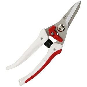 y|Cg10{z g K[fؙ SGP-57 yFJtools g K[fؙ SGP-57 |   4977292635851 zy ߁z[CB99]