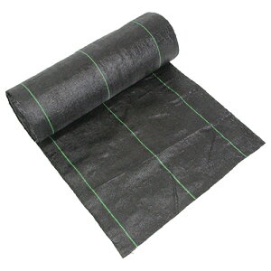 y|Cg10{z ZteB-3 xhV[g  0.5MX50M yFJtools ZteB-3 xhV[g  0.5MX50M |pi |_Ǝ hV[gEG 4977292663649 zy ߁z[CB99]