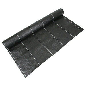 y|Cg10{z ZteB-3 xhV[g  1MX20M yFJtools ZteB-3 xhV[g  1MX20M |pi |_Ǝ hV[gEG 4977292663731 zy ߁z[CB99]