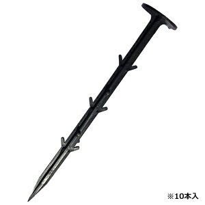 y|Cg10{z ZteB-3 V[g 10P 21cm yFJtools ZteB-3 V[gG 10P 21cm |pi |_Ǝ hV[gEG 4977292664202 zy ߁z[CB99]