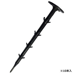 y|Cg10{z ZteB-3 ̓V[gSc 10P 20cm yFJtools ZteB-3 ̓V[gGSc 10P 20cm |pi |_Ǝ hV[gEG 4977292664257 zy ߁z[CB99]