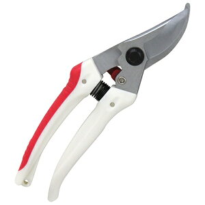 y|Cg10{z g K[f TbN SGP-43 yFJtools g K[f TbN SGP-43 |   4977292665674 zy ߁z[CB99]