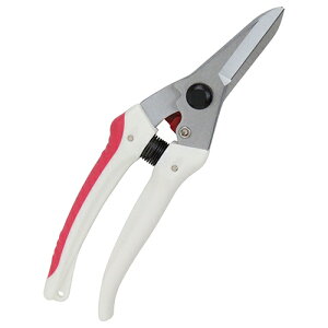 y|Cg10{z g K[fؙ TbN SGP-44 yFJtools g K[fؙ TbN SGP-44 |   4977292665698 zy ߁z[CB99]