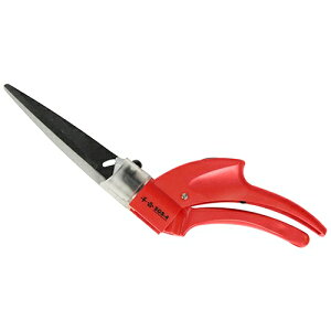 y|Cg10{z g yЎŐ SGS-4 yFJtools g yЎŐ SGS-4 |  Ő 4977292693134 zy ߁z[CB99]