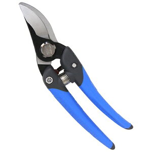 y|Cg10{z SK11 dH͂ Rn DVC-DS195R yFJtools SK11 dHnT~ Rn DVC-DS195R H EJb^[ \ 4977292129367 zy ߁z[CB99]