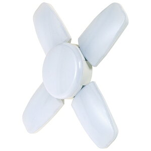 y|Cg10{z SK11 LED[tCg2 50W SLL-50W-ACN yFJtools SK11 LED[tCg2 50W SLL-50W-ACN dH ƁExEhƓ EփG 4977292406086 zy ߁z[CB99]