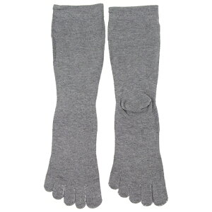 y|Cg10{z SK11 SC\bNXSTRONG SA2628GRY-M-5F yFJtools SK11 SC\bNXSTRONG SA2628GRY-M-5F [NT|[g T|[gpi C 4977292920056 zy ߁z[CB99]