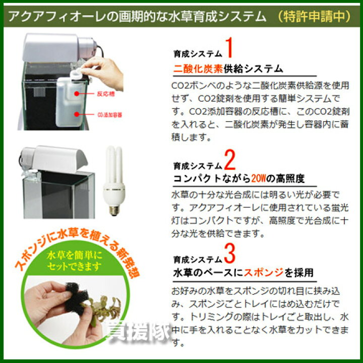 楽天市場 アクアリウム水草飼育セット アクアフィオーレ おしゃれ おすすめ Cb99 買援隊