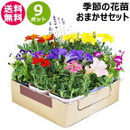 花苗 セット 季節の花 おまかせセット 9ポット 1187 hananae-32 【花 花苗 玄関 樽型 プランター 鉢 ベランダ 寄植え 季節 春 夏 秋 冬 花 旬 お祝い ギフト プレゼント 誕生日 お店 フラワーギフト 贈り物 発表会 記念日 お祝い 出産祝い おしゃれ おすすめ】[CB99]