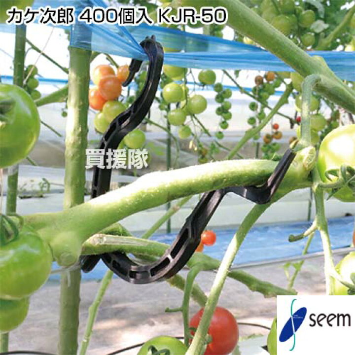 楽天市場 シーム カケ次郎 400個入 茎整理 大容量用 Kjr 50 家庭菜園 茎 固定 束ねる ミニトマト トマト 垂れ下がり防止 オプション パーツ 部品 留め具 支柱 サポート 補助アーム 紐誘引クリップ おしゃれ おすすめ Cb99 買援隊