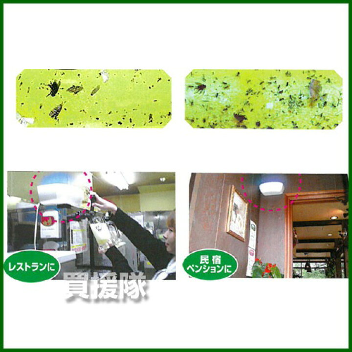 楽天市場 セハージャパン 虫ピタ虫v ファイブ 屋内用飛来昆虫捕虫器 Tktbr 蛾 ガ 蚊 ハエ取り 虫 捕獲 虫除け 対策 補虫器 駆除 おしゃれ おすすめ Cb99 買援隊