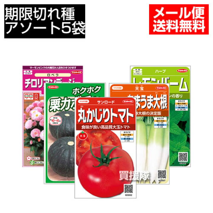 楽天市場 期限切れタネ 訳あり 野菜の種 花の種 ハーブの種 から選択 5袋セット メール便 家庭菜園 種蒔き 種 たね タネ 植物 野菜 やさい 春 夏 秋 冬 周年 特価 期限切れ アソート セット売り 特価 おしゃれ おすすめ Cb99 買援隊