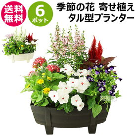 ★ポイント最大10倍＆最大400円OFFクーポン★6/1限定★季節の花 寄せ植え 花苗 6ポット プランター セット 送料無料 タル型 黒/白 1187 【母の日 父の日 お祝い ギフト プレゼント花 玄関 樽型 鉢 ベランダ 寄植え 季節 春 夏 秋 冬 花 旬 誕生日 フラワーギフト 贈り物 記