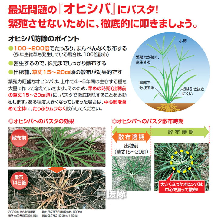 Basf バスタ液剤 雑草 雑草対策 希釈 薬 5l 散布 合計l 噴霧器 除草剤 4本セット 水でうすめてまくだけ 原液 5リットル 対策 経済的 薬剤 安心