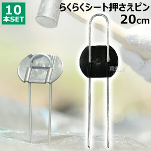 rj[ 炭炭V[gs 20cm i10{j yDAIM s V[g V[gs }` }`V[g |pi ƒ؉ _Ǝ Œ Gh~V[g G΍z