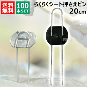 rj[ 炭炭V[gs 20cm i100{j yDAIM s V[g V[gs }` }`V[g |pi ƒ؉ _Ǝ Œ Gh~V[g G΍