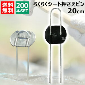 rj[ 炭炭V[gs 20cm i200{j yDAIM s V[g V[gs }` }`V[g |pi ƒ؉ _Ǝ Œ Gh~V[g G΍