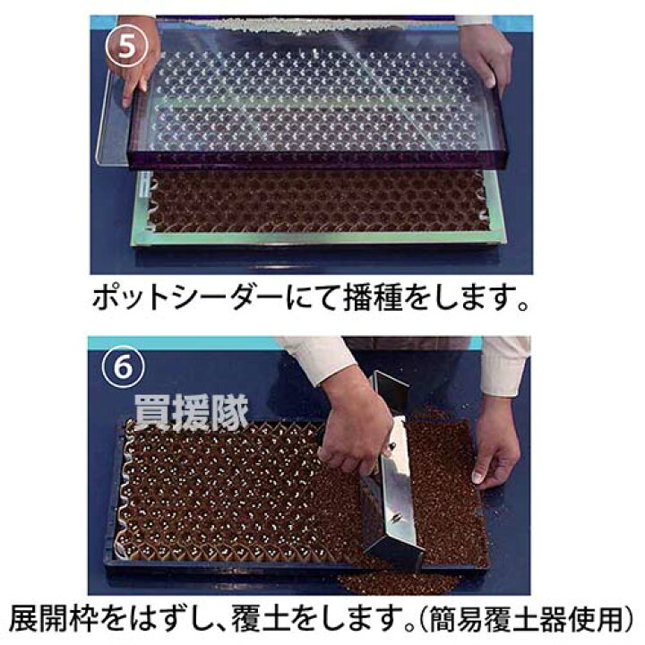 楽天市場 法人限定 ニッテン 播種 5点セット Cp300 1粒ll 中 一本ネギ 葱 ねぎ 白ネギ 三つ葉 ミツバ 花き類 コート種子 たね 種 Ll サイズ 均一 株間 播種 育苗 簡単 ペーパーポット チェーンポット 日本甜菜製糖 おしゃれ おすすめ Cb99 買援隊