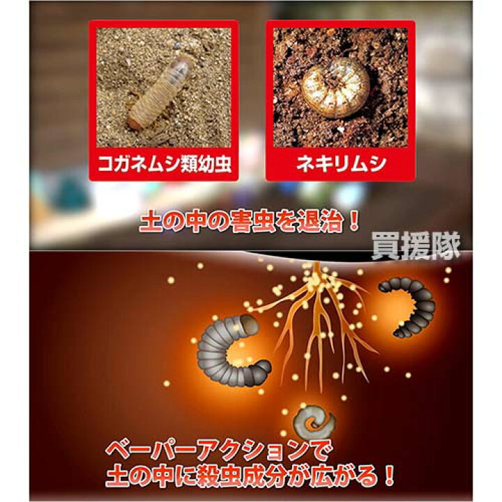 楽天市場 住友化学園芸 ダイアジノン粒剤3 家庭園芸用 400g 殺虫剤 殺虫 害虫 防除 対策 家庭用 園芸用 ネキリムシ ウリハムシ コガネムシ 幼虫 土の中 きゅうり かぼちゃ 害虫 退治 花 庭木 庭 木 花壇 おしゃれ おすすめ Cb99 買援隊