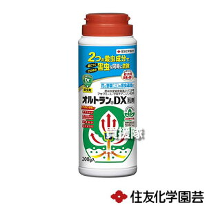 ZFw| IgDX 200g×60{ yE E Q h ΍ ƒp | ƒ؉ p g}g Ȃ イ AuV ~JRiJCKV AIV   A  ϗt