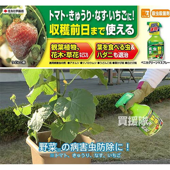 楽天市場 住友化学園芸 ベニカグリーンvスプレー 1l 殺虫 殺菌 病気 予防 治療 黒星病 うどんこ病 アブラムシ類 花 野菜 園芸 庭 庭木 バラ 薔薇 きゅうり トマト ナス おしゃれ おすすめ Cb99 買援隊 楽天市場 住友化学園芸 ベニカグリーンvスプレー 1l 殺虫 殺菌 病気 予防 治療 黒星病 うどんこ病 アブラムシ類 花 野菜 園芸 庭 庭木 バラ 薔薇 きゅうり トマト ナス おしゃれ おすすめ Cb99 買援隊