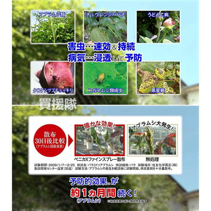 楽天市場 住友化学園芸 ベニカxファインスプレー 950ml ばらの害虫と病気に バラ 薔薇 殺虫 殺菌 病気 予防 病原菌 治療 うどんこ病 黒星病 灰色かび病 アブラムシ対策 アザミウマ対策 花 野菜 園芸 庭 庭木 おしゃれ おすすめ Cb99 買援隊