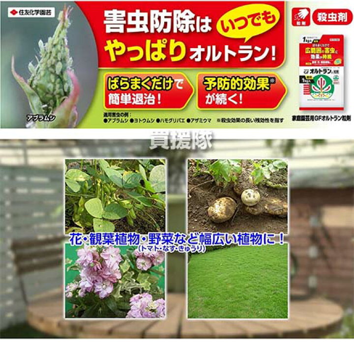 楽天市場 住友化学園芸 Gfオルトラン粒剤 650g 殺虫剤 殺虫 害虫 防除 対策 家庭用 園芸 家庭菜園 用 トマト なす きゅうり アブラムシ ヨトウムシ 花 野菜 おしゃれ おすすめ Cb99 買援隊