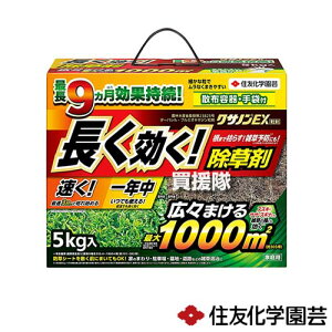 ZFw| NTmEX 5kg y ܂Ō͂炷 G  \h G ΍ G΍ |    ԏ n H  뉀 XXL TT XMiɂ  M J^o~ ZC^J