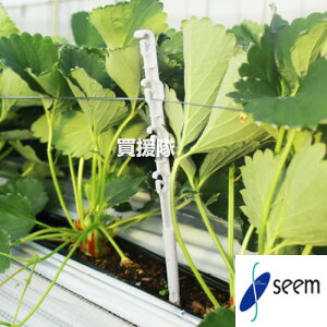 V[ ʏoXeBbN 낤 i150{j IGR-P150 y  ʏo  L͈ t } x ܂Ƃ t_ th~ UVJbgܓ IvV p[c i ߋ x