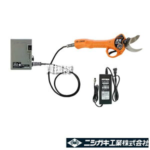 jVKL [d ۃnfB35 [obeE[dt] N-938 ynT~  ͂ } A A A XH ʎ   n R[hX [d } }łzy 