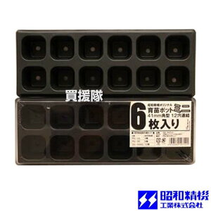 �yP5�{�z���a���@ ��c�|�b�g�~�j 41mm�p�^ 12���A�� 30��(6��×5�Z�b�g) SS-POT41�y5�Z�b�g�z �y���^ ��c�|�b�g ��c�{�b�N�X �Z���{�b�N�X �A���|�b�g ��c�g���[ �Z���g���C ��q �d�� �c��� 