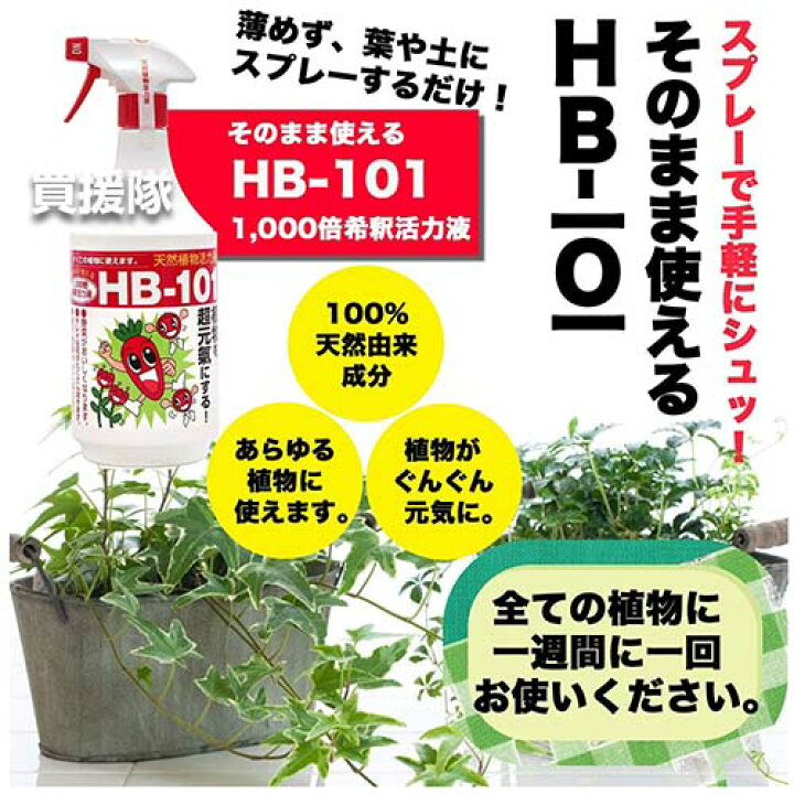 楽天市場】☆エントリーで全品ポイント10倍☆2月は毎日P10☆フローラ 