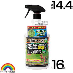 yő9600~OFFN[|szyP3{zC{[i VoL[vG[XV[ 900ml×16{ Xv[^Cv y{  ŐɐG͂炷 Őp ̂܂܎g 