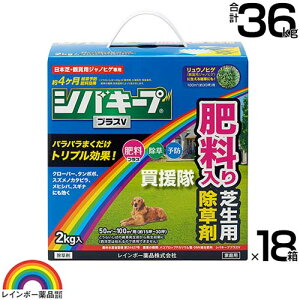 yő9600~OFFN[|szyP3{zC{[i VoL[vvXV 2kg×18 y{  ŐɐG͂炷 Őp  G\h 엿 ̂܂܎g 