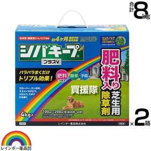 C{[i VoL[vvXV 4kg×2 y{  ŐɐG͂炷 Őp  G\h 엿 ̂܂܎g NClȎG N LtG  