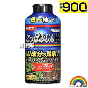 C{[i ς݂W 900g ŷ܂܃ppƎT 6Ԍʂ ܂Ō͂炷  _ K[fjO XMi G ΍ G΍ |   S oϓI  U