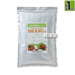 T[yY yǎ 1kg JX NC-R  yƒ؉ 10 1kg y  yÂ y  L@  ͔쉻 엿 i   Ő  | v^
