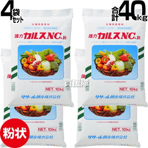T[yY yǎ 10kg×4 JX NC-R  yy  yÂ y  L@  ͔쉻 엿 i   Ő  ƒ؉ | v^[  